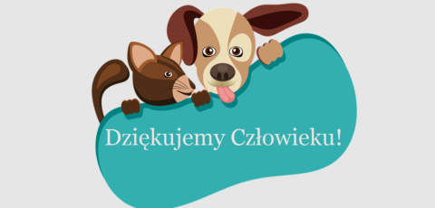 zwierzaki